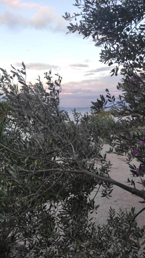 Mobile Home Tiva Drage Εξωτερικό φωτογραφία